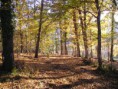 /album/automne/p1010004-jpg1/