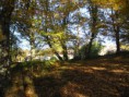 /album/automne/p1010019-jpg1/
